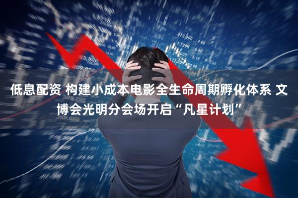 低息配资 构建小成本电影全生命周期孵化体系 文博会光明分会场开启“凡星计划”