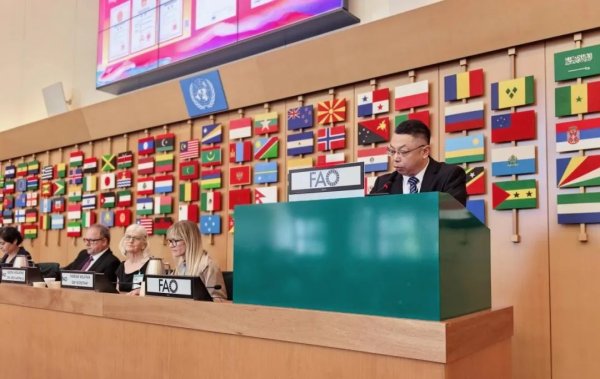 可靠股票配资 金正大缓控释肥技术出海 中国“膜”法闪耀联合国粮农组织GSP大会