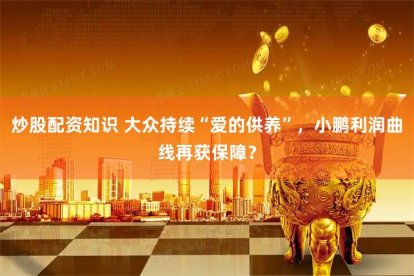 炒股配资知识 大众持续“爱的供养”，小鹏利润曲线再获保障？