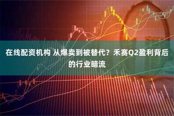 在线配资机构 从爆卖到被替代？禾赛Q2盈利背后的行业暗流