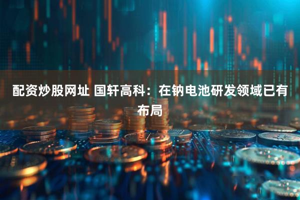 配资炒股网址 国轩高科：在钠电池研发领域已有布局